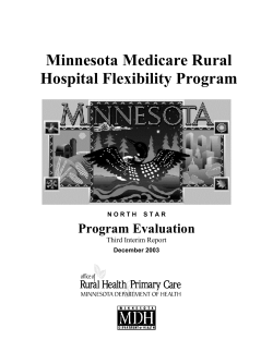 Minnesota Medicare Rural Hospital Flexibility Program: Program Evaluation Year 3