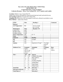 MS RM35E