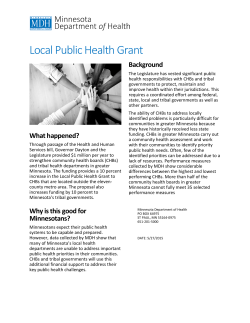 Local Public Health Grant (PDF)