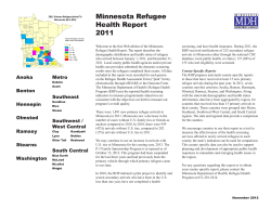 2011 Minnesota Refugee Health Report (PDF)