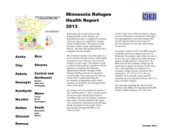 2013 Minnesota Refugee Health Report (PDF)