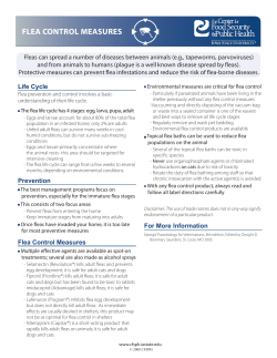 Flea Control Measures (PDF: 128KB/1 page)