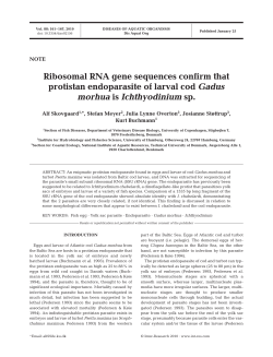 Full text in pdf format