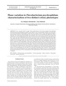 Full text in pdf format