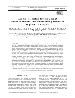 Full text in pdf format