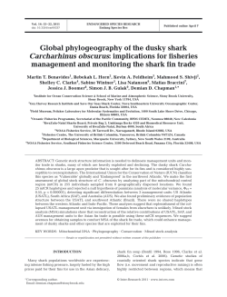 Full text in pdf format