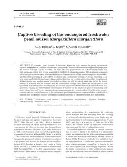 Full text in pdf format