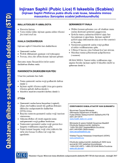 STD Facts: Pubic Lice and Scabies (Oromo) (PDF)