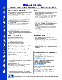STD Facts: Herpes (Oromo) (PDF