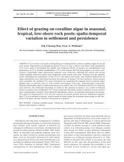 Full text in pdf format