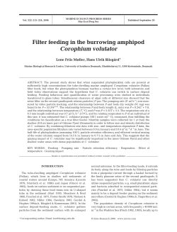 Full text in pdf format