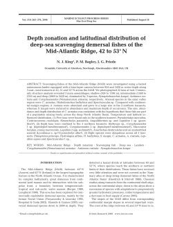 Full text in pdf format