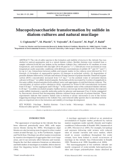 Full text in pdf format