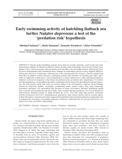 Full text in pdf format