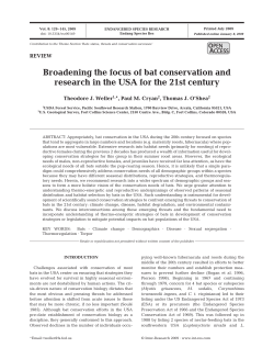 Full text in pdf format