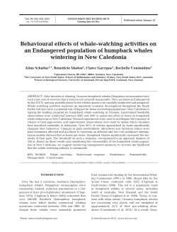 Full text in pdf format