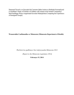 Autism Legislative Report Executive Summary - Somali