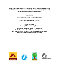 Autism Legislative Report Executive Summary - Hmong