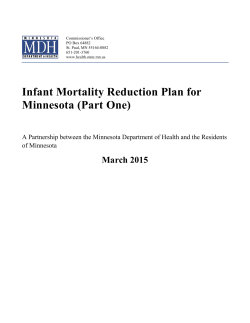 Infant Mortality Reduction Plan - accessible version (PDF)