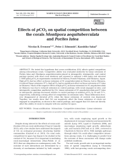 Full text in pdf format