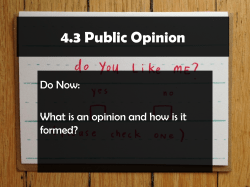 Public Opinion