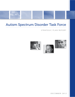 State Autism Strategic Plan (PDF)