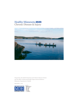Healthy Minnesota 2020: Chronic Disease and Injury Plan (PDF)