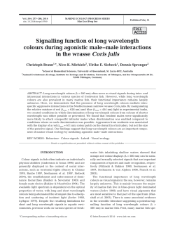 Full text in pdf format