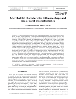 Full text in pdf format