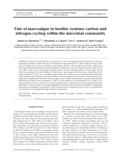 Full text in pdf format