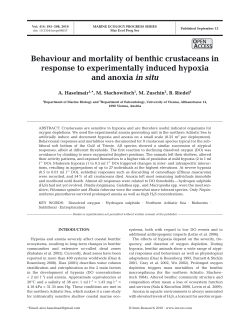 Full text in pdf format