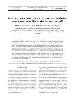 Full text in pdf format