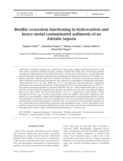 Full text in pdf format