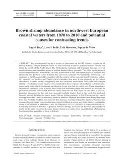 Full text in pdf format