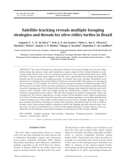 Full text in pdf format