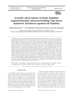 Full text in pdf format