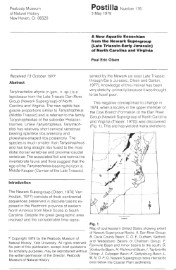 Download a .pdf of this paper (1.5 MB).