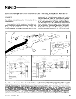 Download a .pdf of this paper (1 MB).