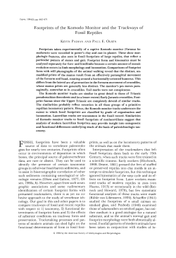 Download a .pdf of this paper (0.75 MB).