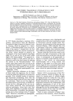 Download a .pdf of this paper (0.54 MB).