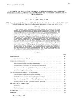 Download a .pdf of this paper (2.1 MB)