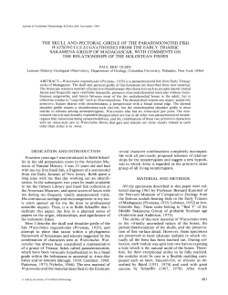 Download a .pdf of this paper (1.8 MB)