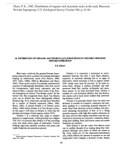 Download a .pdf of this paper (1.7 MB)