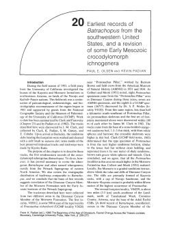 Download a .pdf of this paper (1.1 MB)