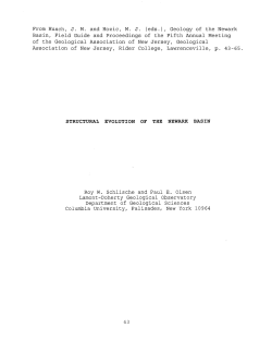 Download a .pdf of this paper (0.7 MB)