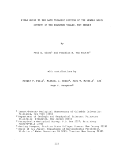 Download a .pdf of this paper 1.1 MB)