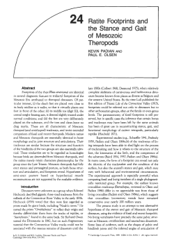 Download a .pdf of this paper (0.9 MB)