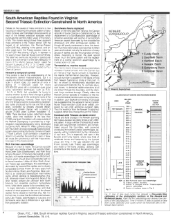 Download a .pdf of this paper (0.3 MB)