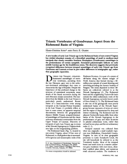 Download a .pdf of this paper (1.6 MB)