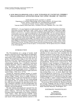 download a .pdf of this paper: 1.0 MB